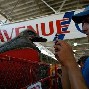 Meet your Posher, Brad